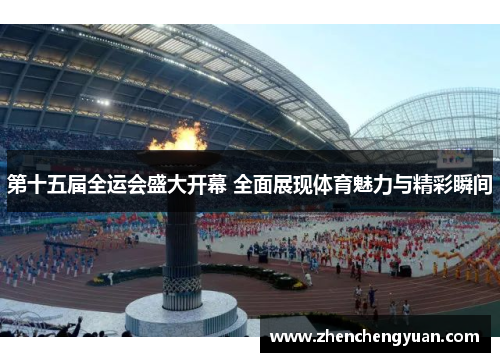 第十五届全运会盛大开幕 全面展现体育魅力与精彩瞬间