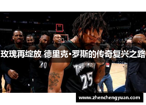 玫瑰再绽放 德里克·罗斯的传奇复兴之路