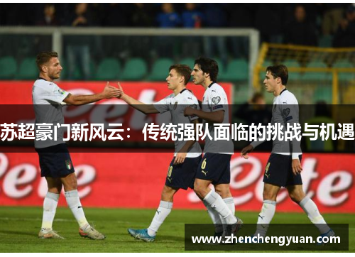 苏超豪门新风云：传统强队面临的挑战与机遇